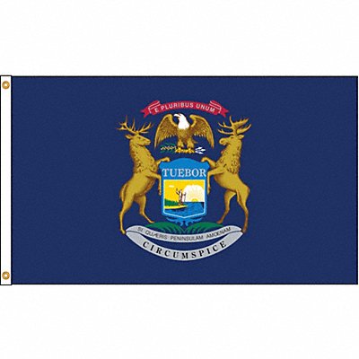 D3772 Michigan Flag 5x8 Ft Nylon MPN:142680