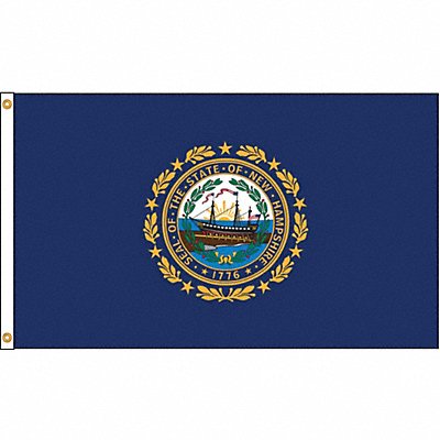 D3771 New Hampshire Flag 4x6 Ft Nylon MPN:143470