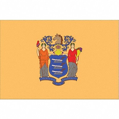 D3761 New Jersey State Flag 3x5 Ft MPN:143660