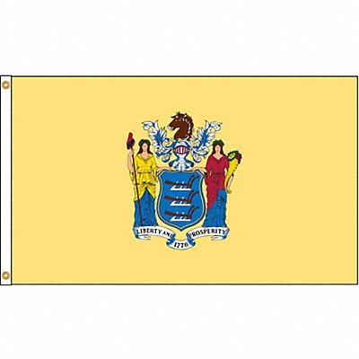 D3771 New Jersey Flag 4x6 Ft Nylon MPN:143670