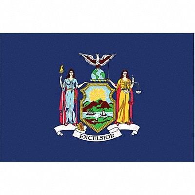 D3761 New York State Flag 3x5 Ft MPN:143860