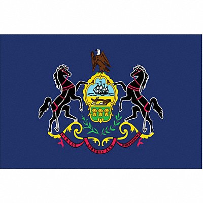 D3761 Pennsylvania State Flag 3x5 Ft MPN:144660