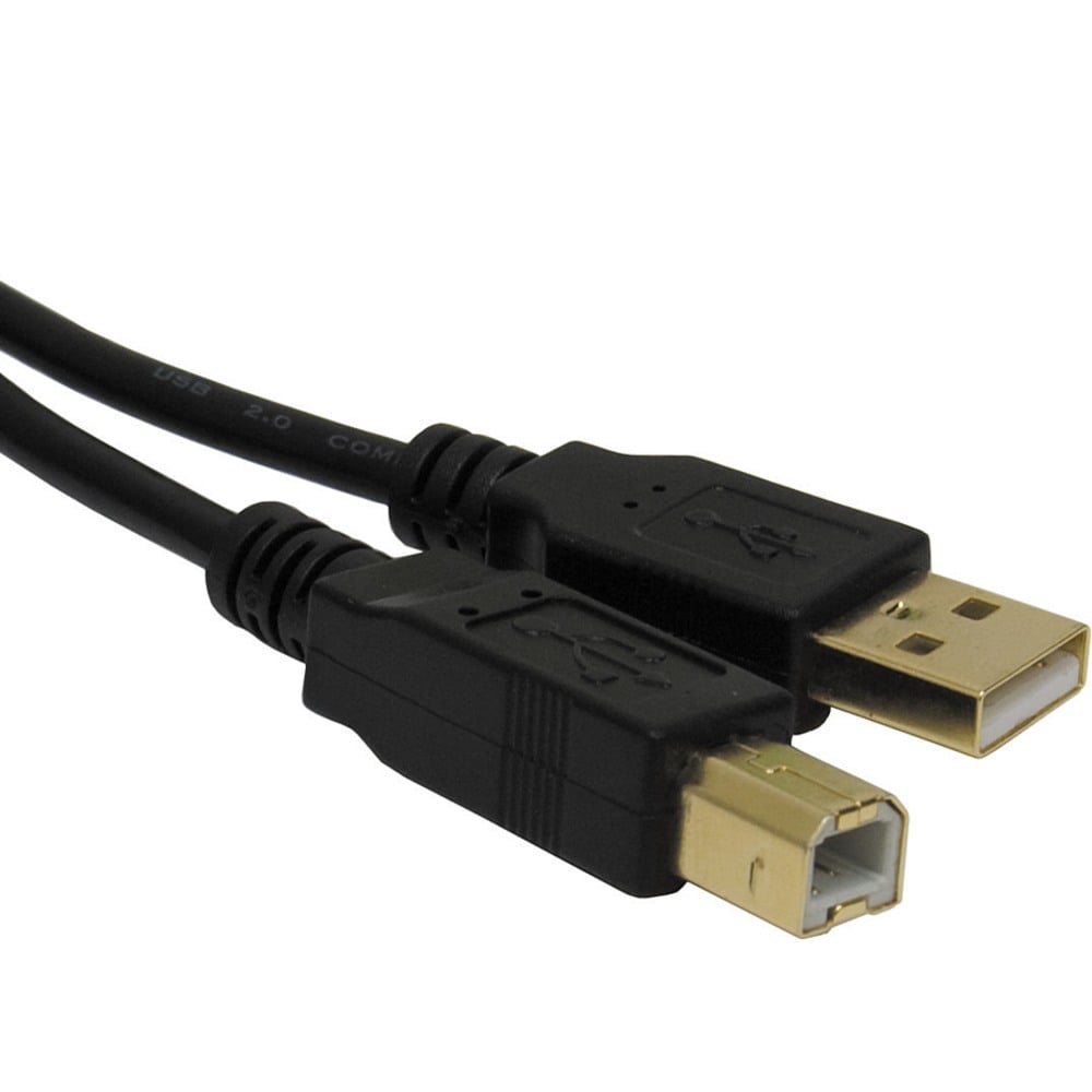 Ativa Gold USB Device Cable, 6ft (Min Order Qty 7) MPN:26852