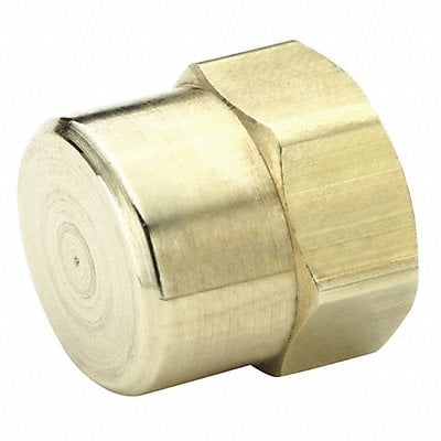 Hex Head Cap Brass 1/8 in Pipe Size FNPT MPN:213P-2