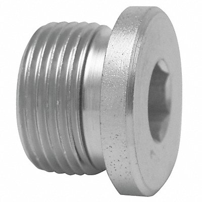 Hollow Hex Head Plug 316L SS M10 x 1 in MPN:VSTI10X1ED71