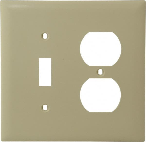 2 Gang, 4-1/2 Inch Long x 4-3/4 Inch Wide, Standard Combination Wall Plate MPN:TP18I