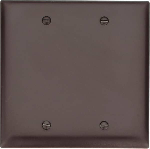 2 Gang, 4-3/4 Inch Long x 4-11/16 Inch Wide, Standard Blank Wall Plate MPN:TP23