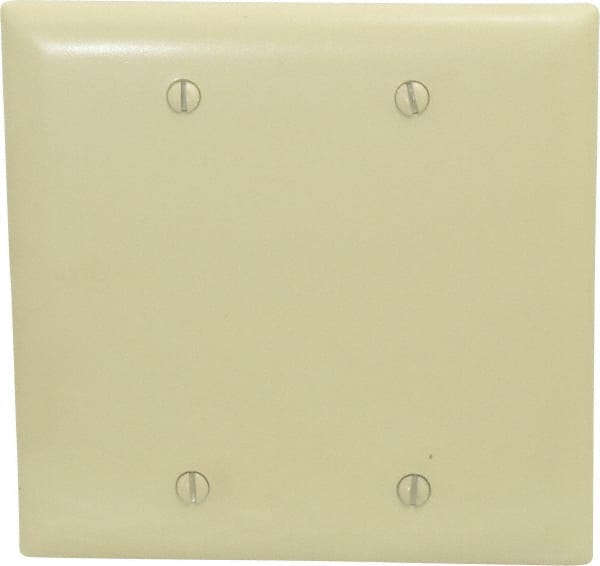 2 Gang, 4-3/4 Inch Long x 4-11/16 Inch Wide, Standard Blank Wall Plate MPN:TP23I