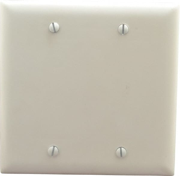 2 Gang, 4-3/4 Inch Long x 4-11/16 Inch Wide, Standard Blank Wall Plate MPN:TP23W