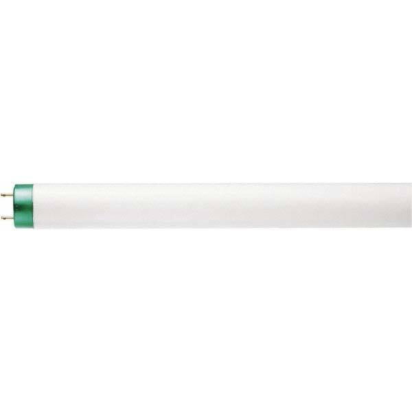 Tubular  Fluorescent Lamp: 32 W, T8, Medium Bi-Pin MPN:433960