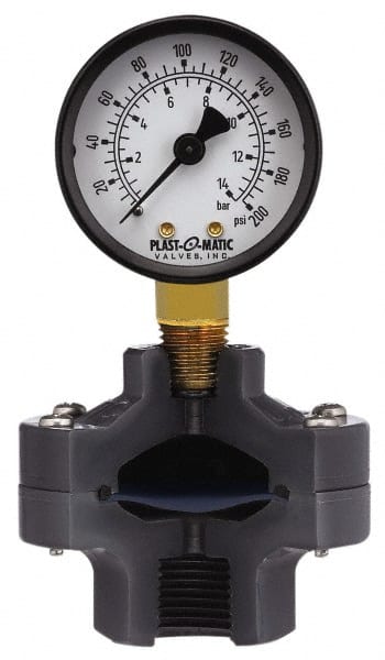 30 Max psi, 2 Inch Dial Diameter, PVC Pressure Gauge Guard and Isolator MPN:GGTS030-PV