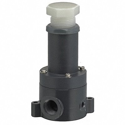 Pressure Relief Valve 1/4In 5 to 100 psi MPN:RVD025V-PP