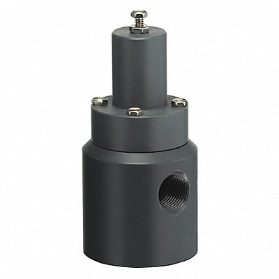 Pressure Relief Valve 1/2In 5 to 100 psi MPN:RVD050V-PV