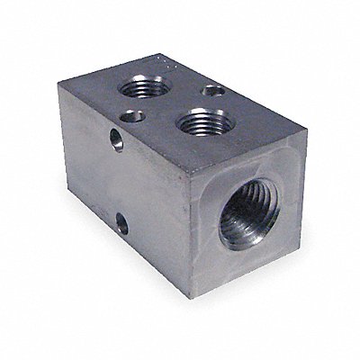 Manifold Stainless Steel NPT 1-3/4 in L MPN:M10-125-2-SS