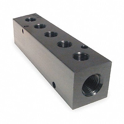 Manifold Metal NPT 4 in L MPN:M10-125-5