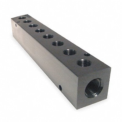 Manifold Metal NPT 6-1/4 in L MPN:M10-125-8