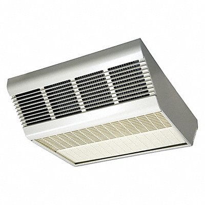 Example of GoVets Electric Wall and Ceiling Surface Mount Heaters category