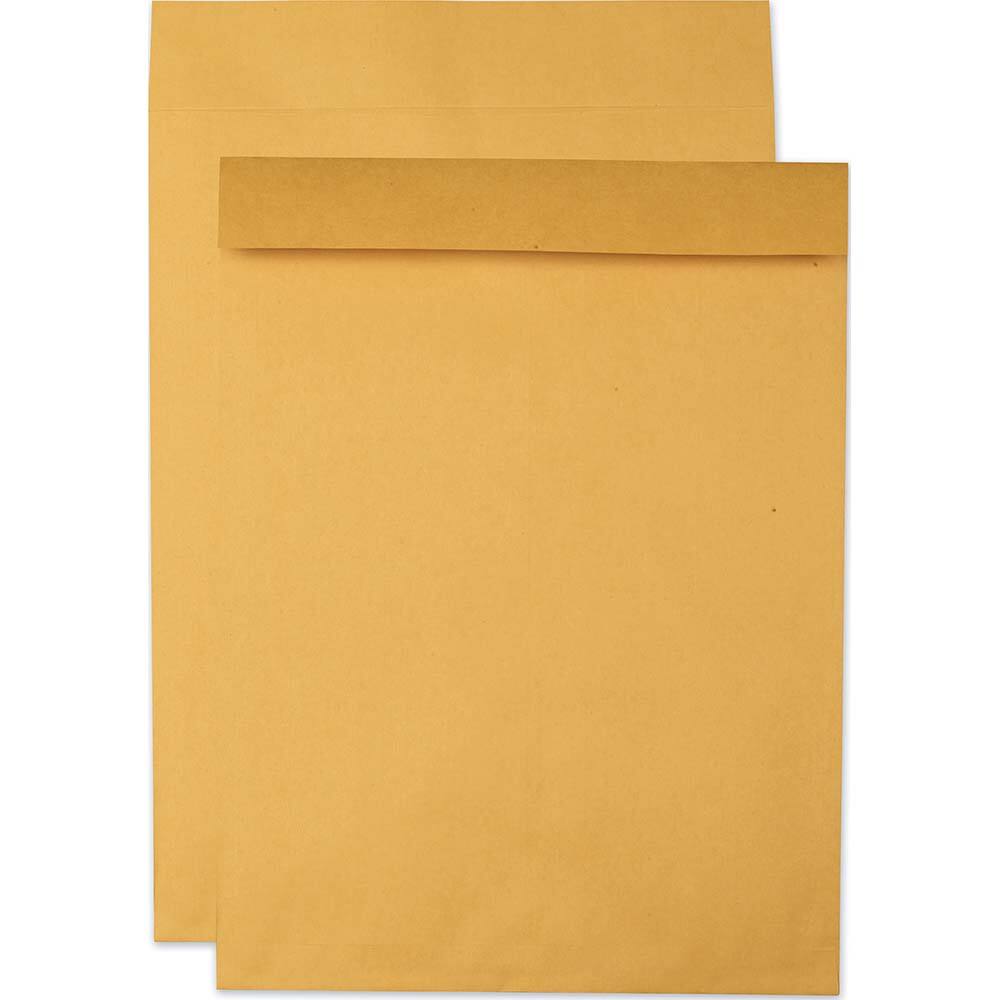 Jumbo Envelope Mailer: 22