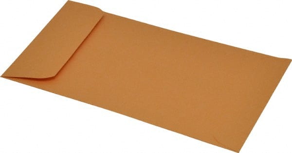 Kraft Coin Mailing Envelope: 3-1/8