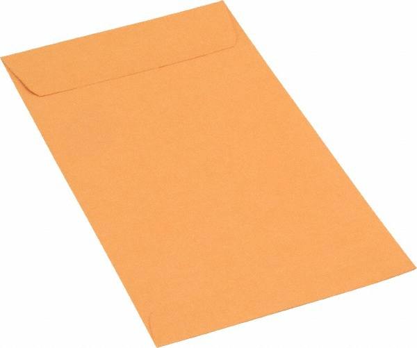 Kraft Coin Mailing Envelope: 3-1/2