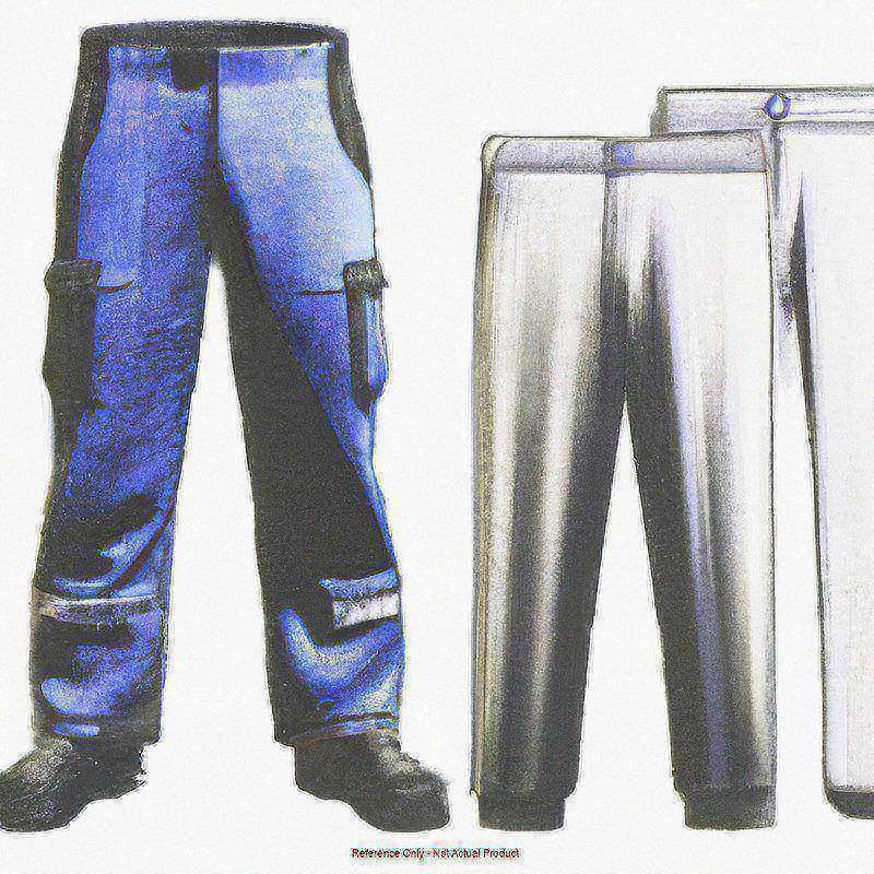 Wns Industrial Work Pant MPN:PT21CH 20 30