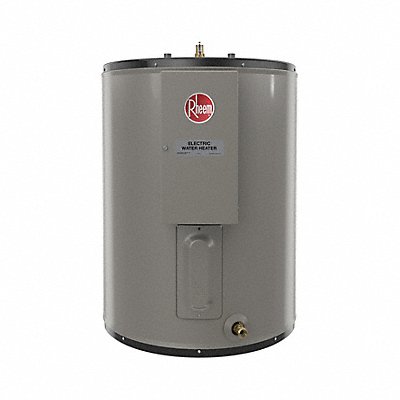 Electric Water Heater 28 gal 30 in H MPN:ELDS30-FTB