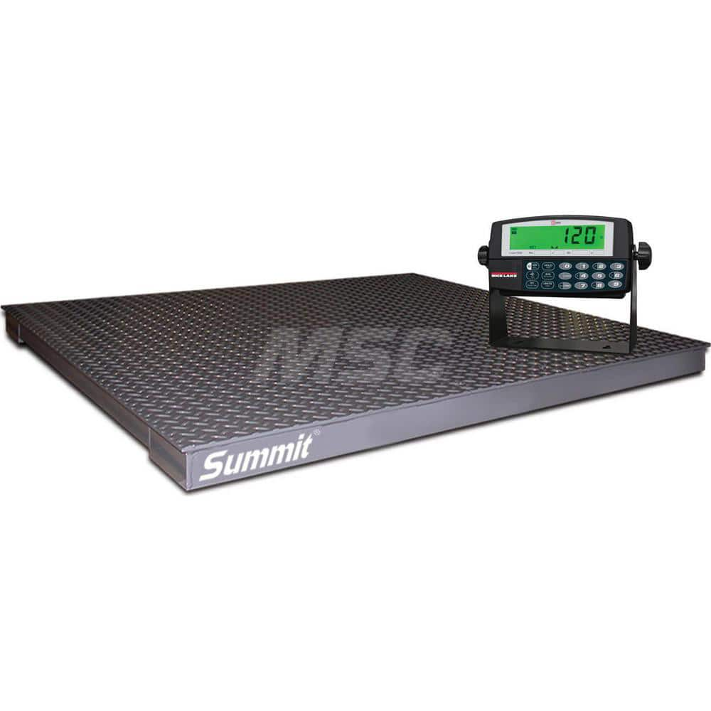 Shipping & Receiving Platform & Bench Scales MPN:106913