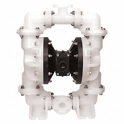 Double Diaphragm Pump Air Operated 2 MPN:S20B3P2PPUS000.