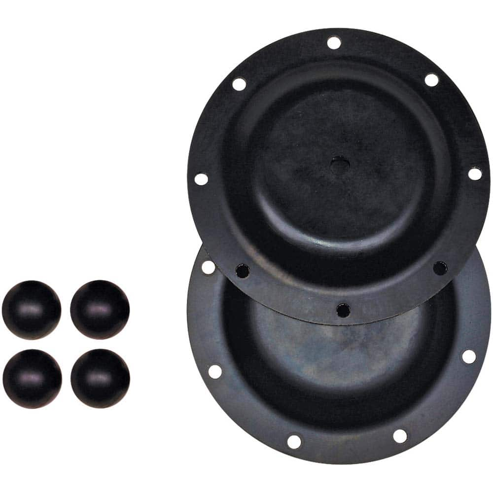 Diaphragm Pump Fluid Section Repair Kit: Buna-N, Includes (1) Lithium Grease, (2)Diaphragms, (4) Check Balls & (4)Check Seats, Use with S20 Metallic MPN:476.042.360