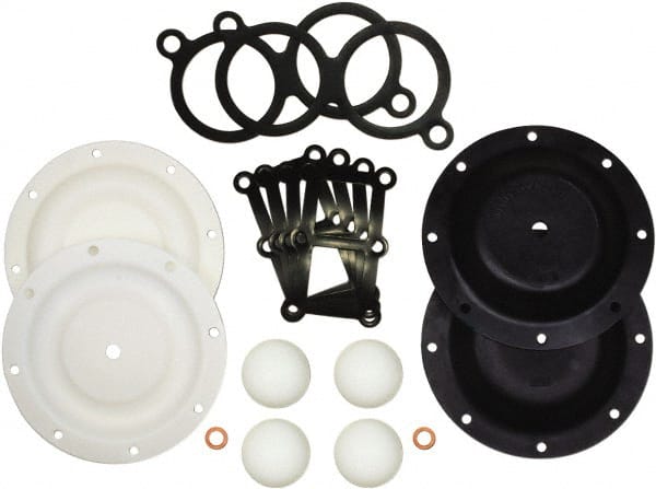 Diaphragm Pump Fluid Section Repair Kit: Polytetrafluoroethylene, Includes Check Balls, Diaphragms & Gasket, Use with HDB2 MPN:476.043.659