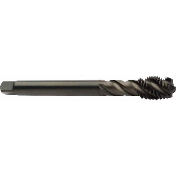Spiral Flute Tap: M12x1.75 Metric, 4 Flutes, Modified Bottoming, 6H Class of Fit, Powdered Metal, Steam Coated MPN:6182228
