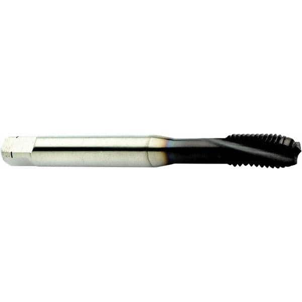 Spiral Flute Tap: 1/4-20 UNC, 3 Flutes, Modified Bottoming, 2B Class of Fit, Powdered Metal, Steam Coated MPN:6182238