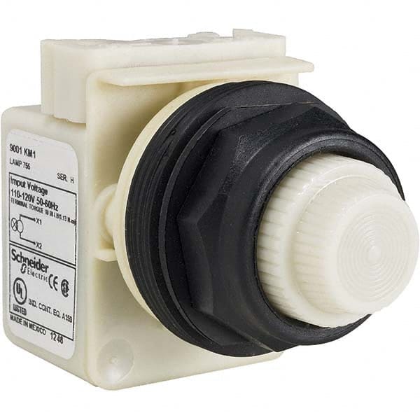 240 VAC White Lens Incandescent Pilot Light MPN:9001SKT7W31