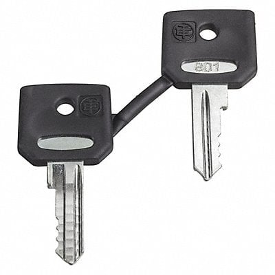 Set Of 2 Keys For 421E Key MPN:ZBG421E