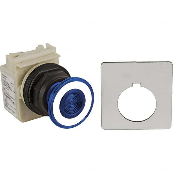 Push-Button Switch: 30 mm Mounting Hole Dia, Maintained (MA) MPN:001SKR9P1LGGH13