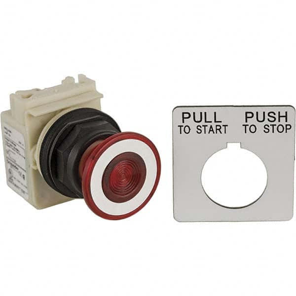 Push-Button Switch: 30 mm Mounting Hole Dia, Maintained (MA) MPN:001SKR9P38LRH13