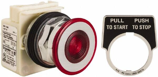 Push-Button Switch: 30 mm Mounting Hole Dia, Maintained (MA) MPN:9001KR9P1R