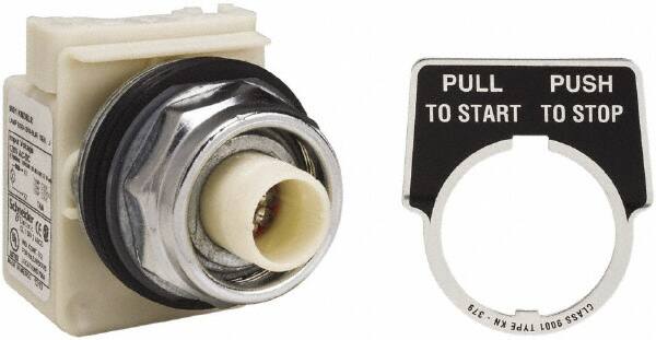 Push-Button Switch: 30 mm Mounting Hole Dia, Maintained (MA) MPN:9001KR9P38LR