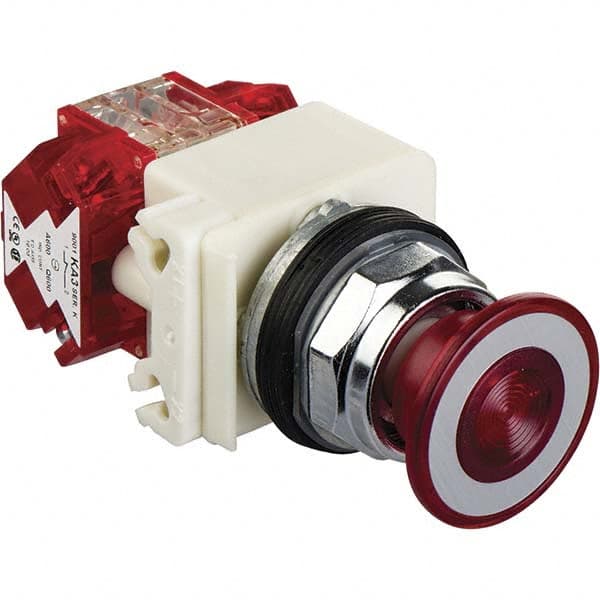 Push-Button Switch: 30 mm Mounting Hole Dia, Maintained (MA) MPN:9001KR9P38RH25