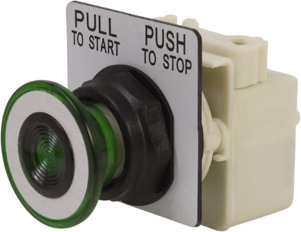 Push-Button Switch: 30 mm Mounting Hole Dia, Maintained (MA) MPN:9001SKR9P1G