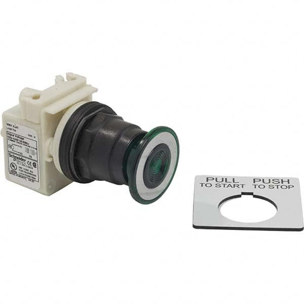 Push-Button Switch: 30 mm Mounting Hole Dia, Maintained (MA) MPN:9001SKR9P38G