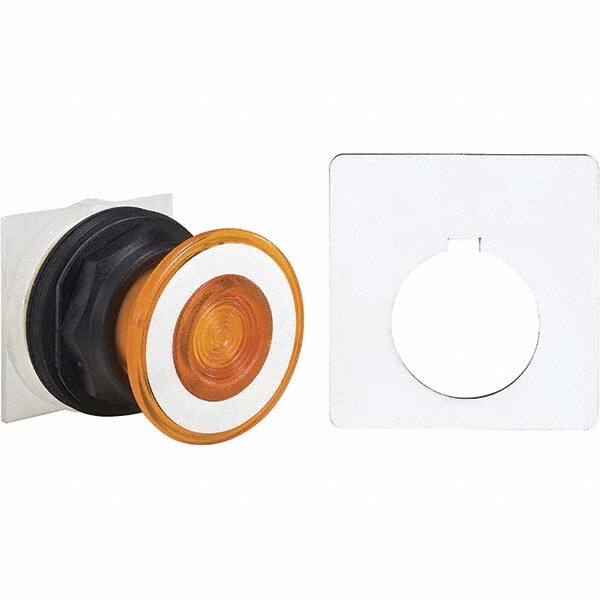 Push-Button Switch: 30 mm Mounting Hole Dia, Maintained (MA) MPN:9001SKR9P7A