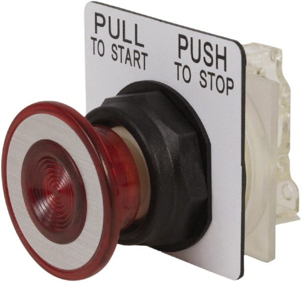 Push-Button Switch: 30 mm Mounting Hole Dia, Maintained (MA) MPN:9001SKR9RH13