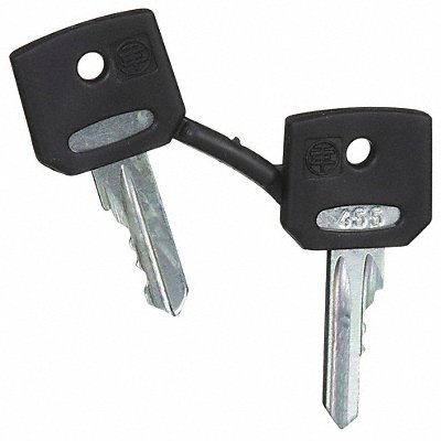 Set of Keys Replacement 22mm MPN:ZBG455