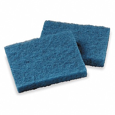 Scouring Pad 5 1/4 in L Blue PK40 MPN:9000