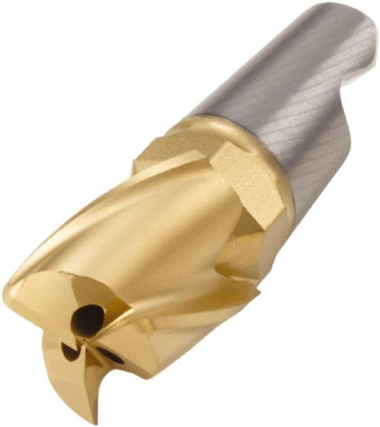 End Replaceable Milling Tip: MM16-0.787-R020A30-M06 F40M, Carbide MPN:00038211