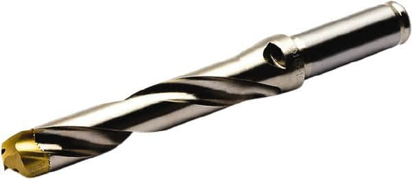 Replaceable-Tip Drill: 22 to 23.99 mm Dia, 125 mm Max Depth, 1