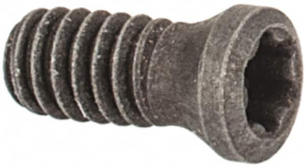 Lock Screw for Indexables: T06P, Torx Plus Drive, M2 Thread MPN:02805322