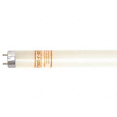 Fluorescent 4 32W T8 5000K PK30 MPN:46238G