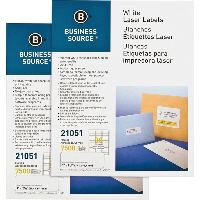 Business Source Premium-Quality Address Labels, 21051CT, Rectangle, 1in x 2-5/8in, Bright White, 250 Sheets Per Pack, Carton Of 2 Packs MPN:21051CT